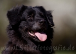 13 Lola&Kosta